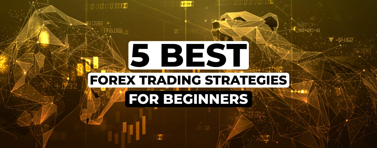 5 Best Forex Trading Strategies For Beginners 