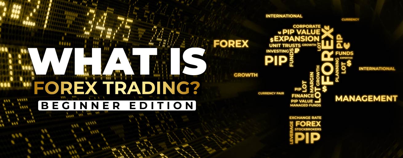 What is Forex Trading Beginner edition